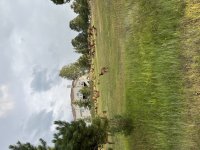 4C899086-C88F-4AA5-88D0-74C5D466D972.jpeg