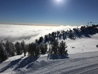 IMG_0006.jpg