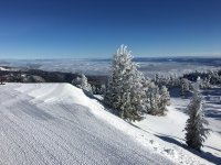 IMG_0004.jpg