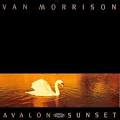 avalon sun..png