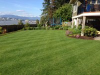 IMG_0870.JPG