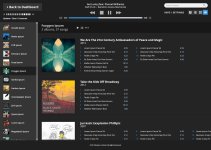 dark_media-player_view-artist.jpg