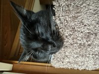 IMG_2756.jpeg