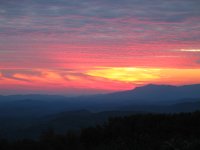 IMG_0541.JPG