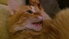 IMAG0282.jpg
