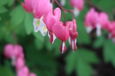 IMG_0628.JPG
