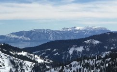 IMG_0027.jpg