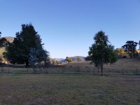 20180217_080234.jpg