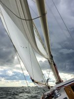 IMG_6087.jpg