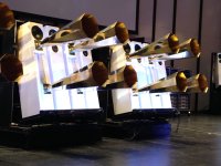 Side view of horns.JPG