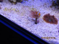 IMG_1432.JPG