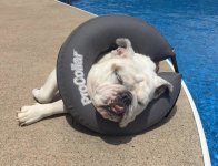 Lola Pool.jpg