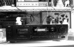 bw_v531.jpg
