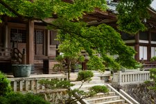 Myojingatake-Saijouji-30-May-2020-_DSC6117.jpg