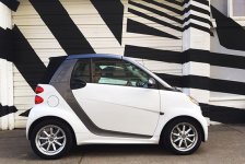 zebra smart.jpg
