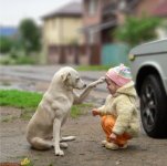 dog-and-child-04.jpg