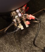 DSC_5531Â â€” ?????.JPG