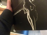 melody-gardot-live-europe.jpg