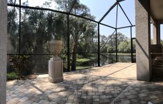 backyard.jpg