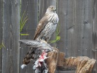 DSCN1838.JPG