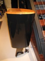 IMG_5335.JPG