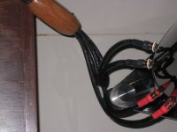 IMG_5337.JPG