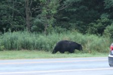 IMG_0848.JPG