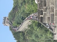IMG_6905.jpeg