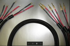 Straight Wire Active.JPG