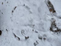 IMG_2348.JPG