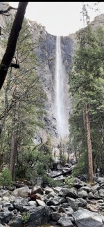 IMG_2456.jpg