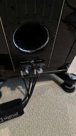 IMG_5500.jpeg