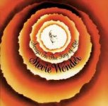 steviewonder.jpeg