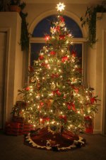 Xmas Tree.JPG