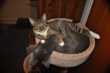 DSC_0252.JPG