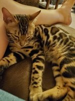 Marleigh (81).jpg