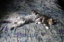 relaxing.JPG