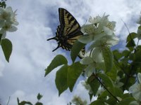 DSCF0921.JPG
