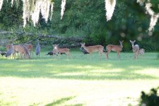 DSC_2969.JPG
