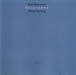Bjornstad Ketil & Darling David     Epigraphs.jpg