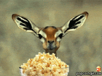 Popcorn and waiting for the game to begin.gif