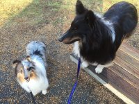Oliver & Trouble.jpg