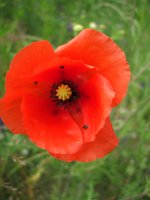 DSCF0948.JPG