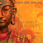 Wheater Tim     Invisible Journeys.jpg