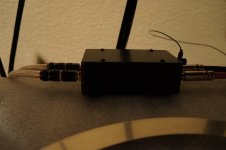 DSC01979-M.jpg