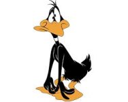 daffy-duck.jpg