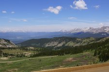 DSC02613 (Large).JPG