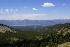 DSC02614 (Large).JPG