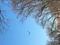 3DF55122-C6CD-43B7-A675-37D21A48BECA.jpeg