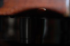 Close up of Ultra SSs on Classic 3.jpg